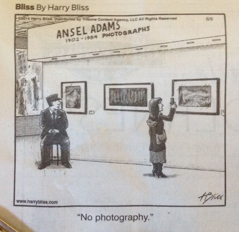 Blissphoto
