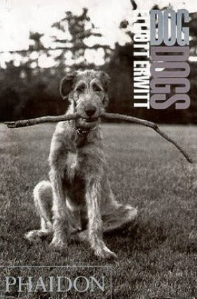 DogDogs