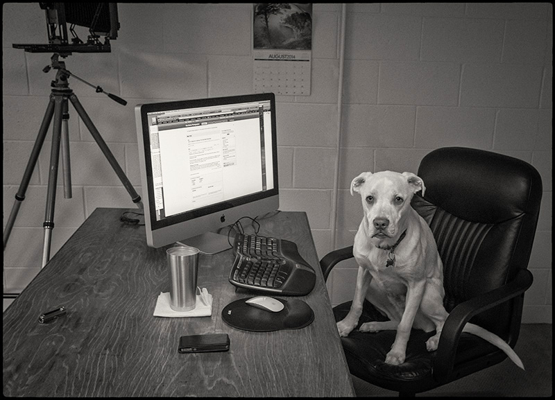 Newoffice-small-2
