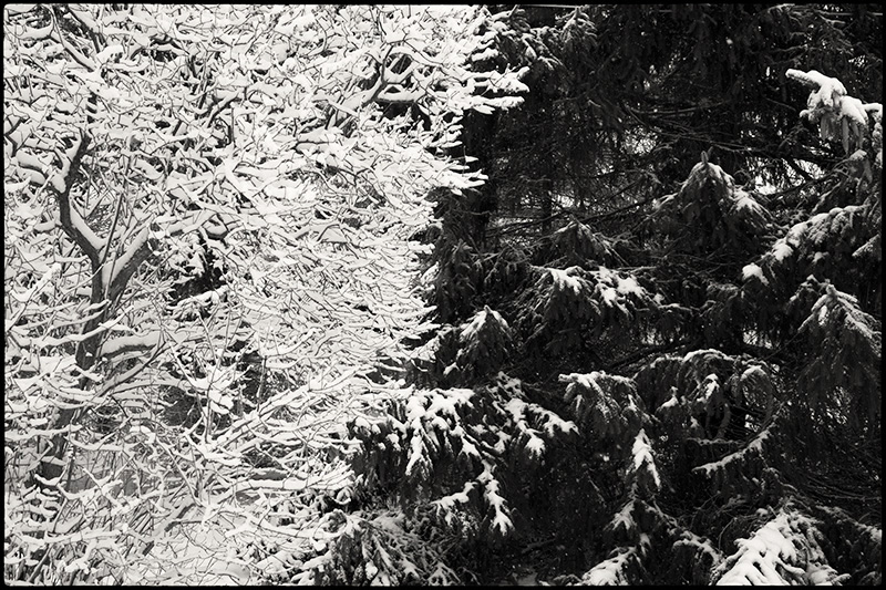 Snow3