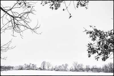 Snowfield-3-small