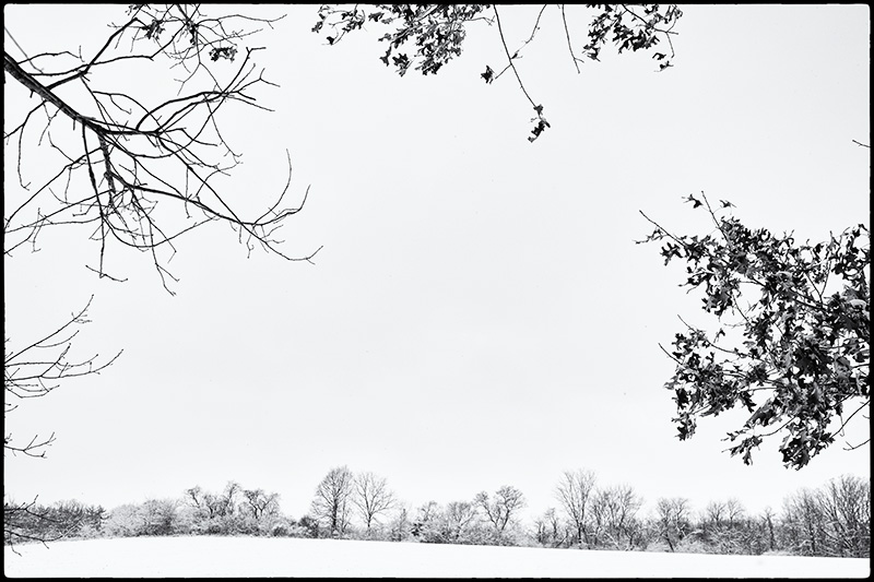 Snowfield-3-small