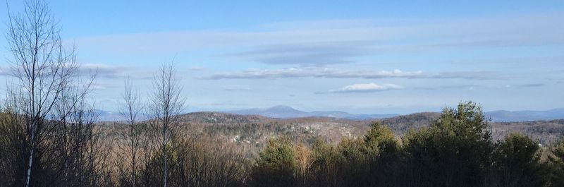 Bluemoonview
