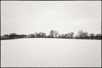 Snowfield