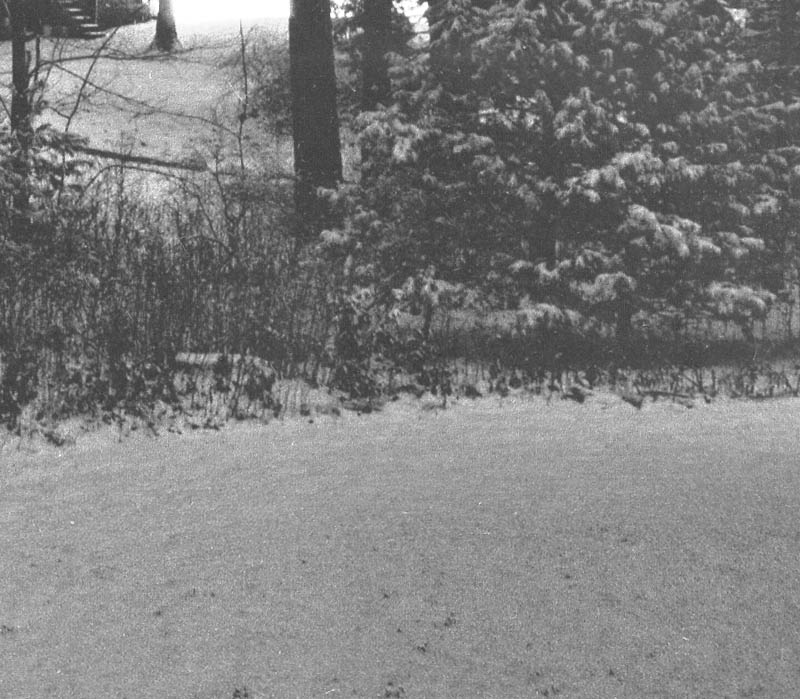 Snow3880