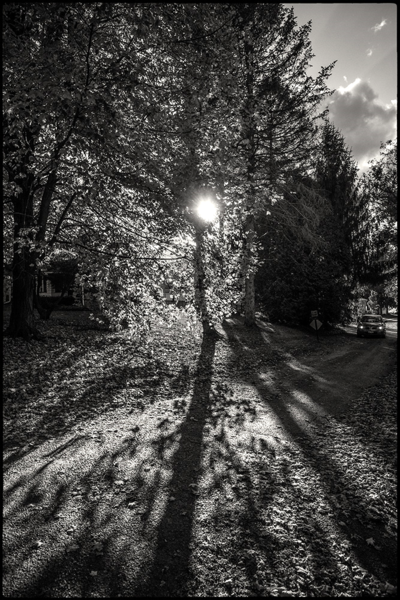 Low-sun-small