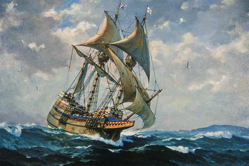 Mayflowerii