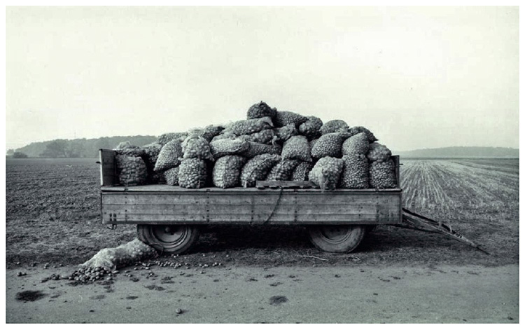 Potato wagon
