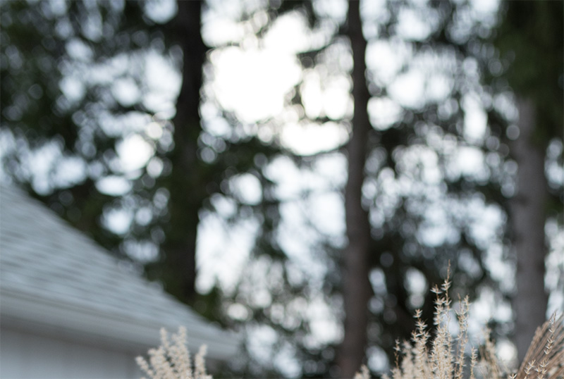 Sigma Art bokeh