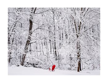 The Red Chair