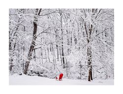 The Red Chair