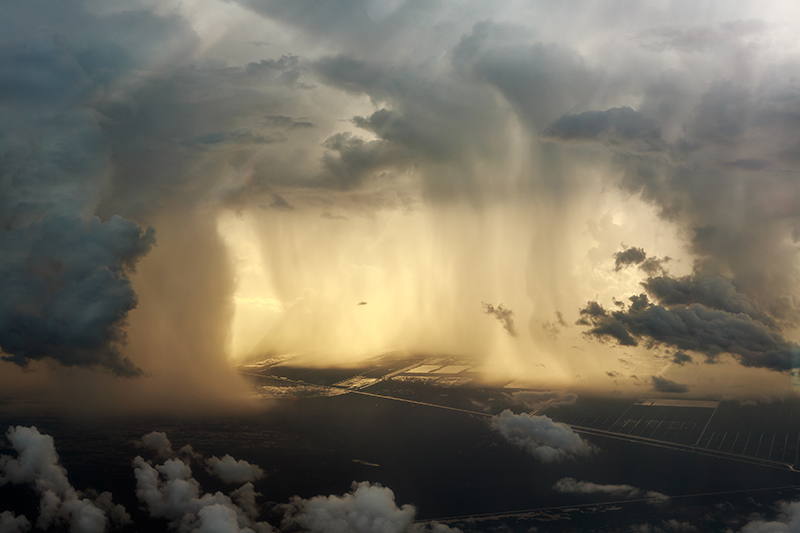 Florida Everglades Rain Shower