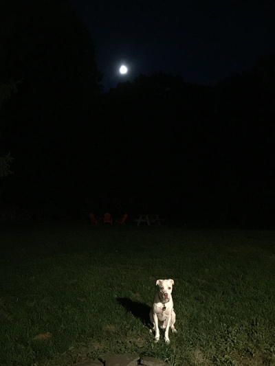 Butters and the moon-2