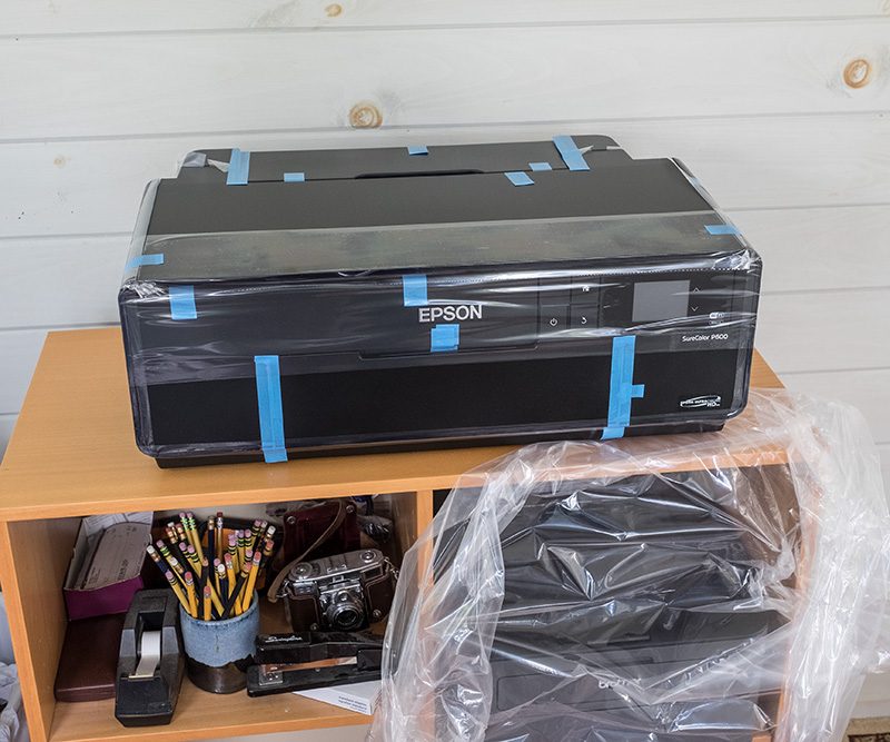 Epson P600