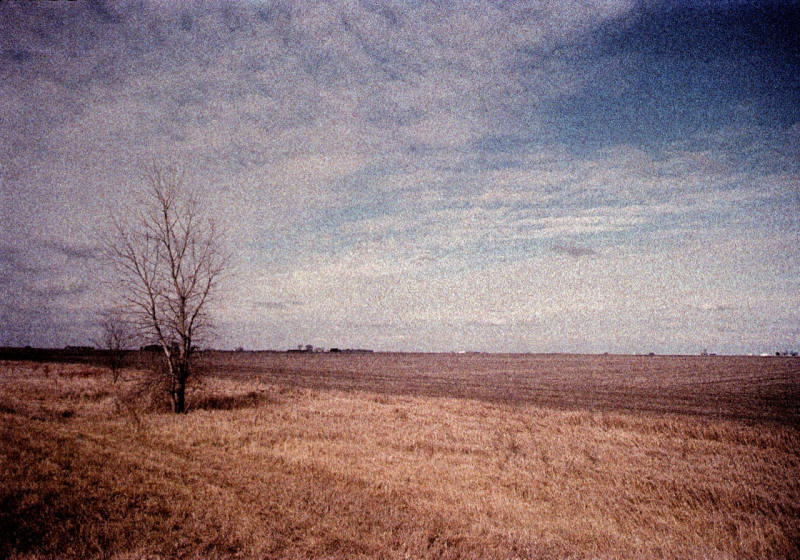Pinney