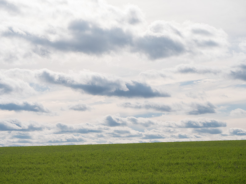 Green earth