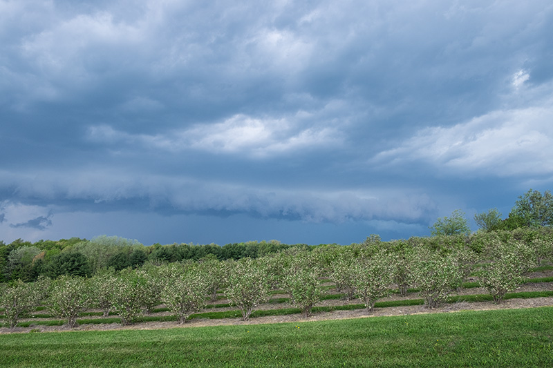 Landscape-2