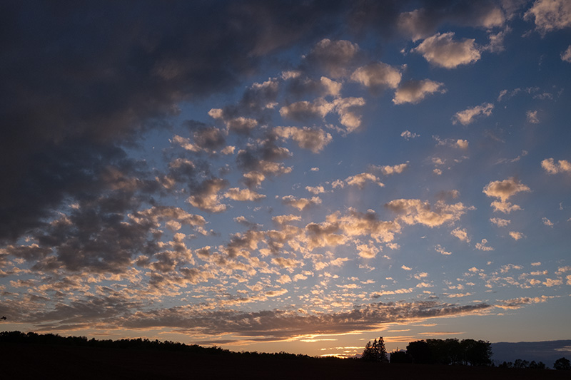 Pre-emption sunset-small