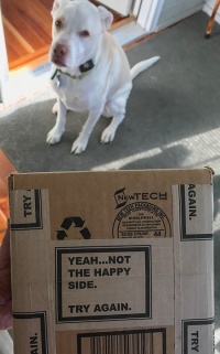 Release the happy