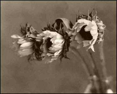 Three_Vanities