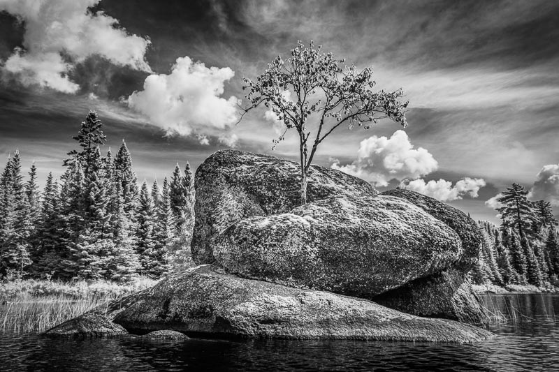 BW hansel_bryan_170814-115-Edit