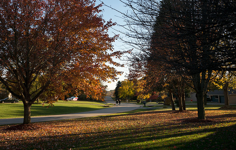 Maple Way small-2