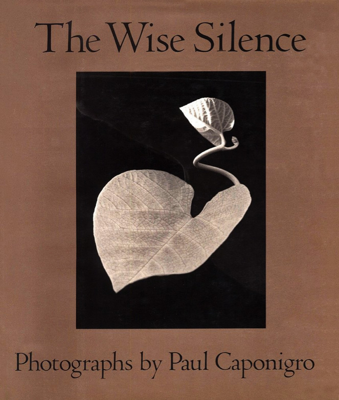 Wisesilence