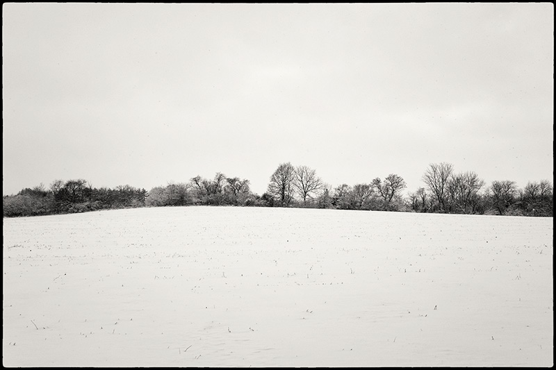Snowfield