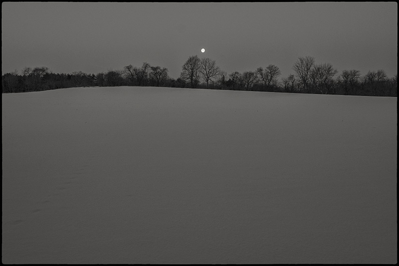 Moonfield-small-BW-border