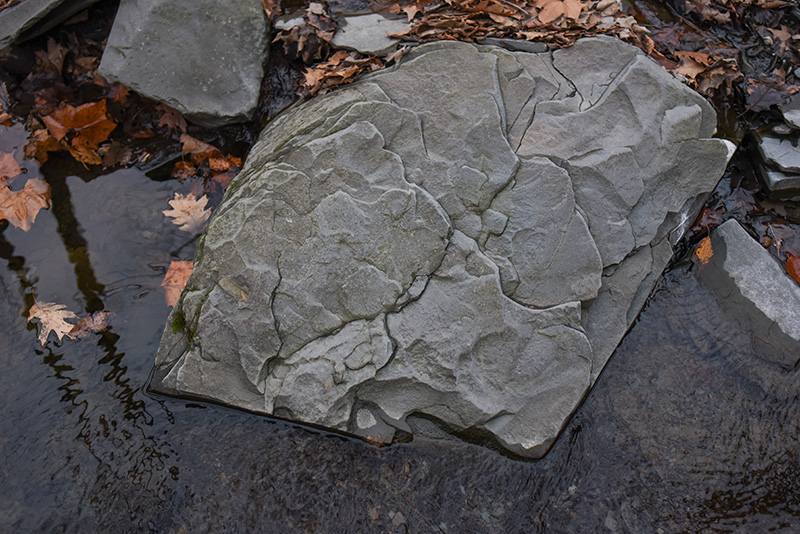 D750-rock