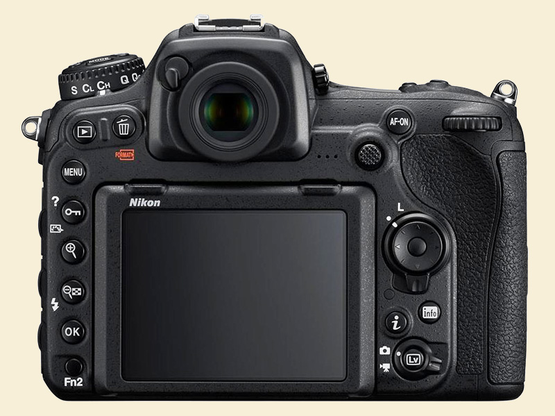 D500-1