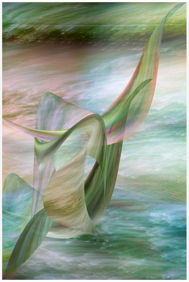 Kathybealstilllife