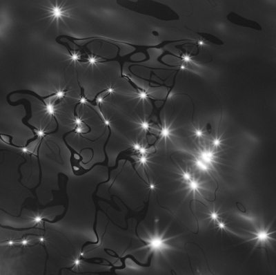 Brooks II Constellations of Water