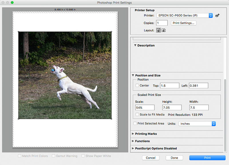 Print Settings Print Settings