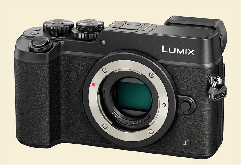 Panasonic GX8-1