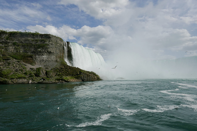 ForresterVisitNiagraFalls-KathrynToews