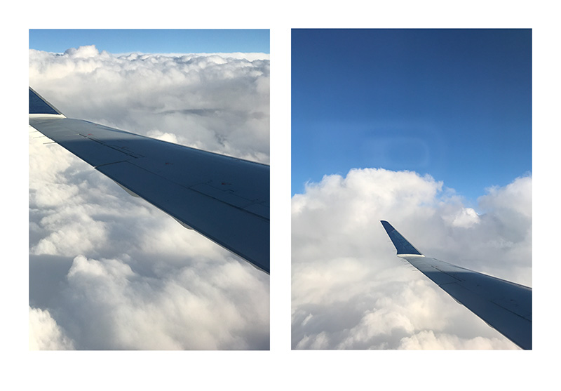 Diptych1