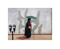 Lewisumbrella