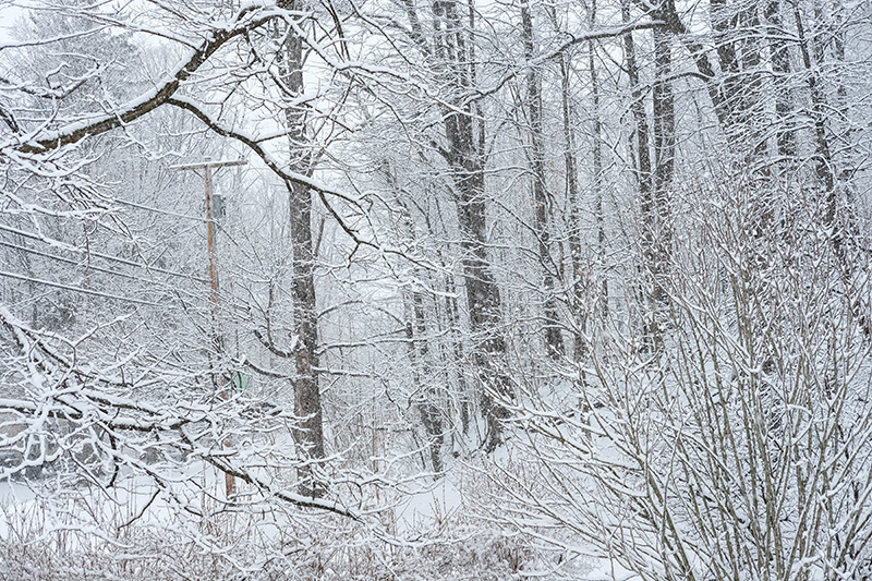 New snow small