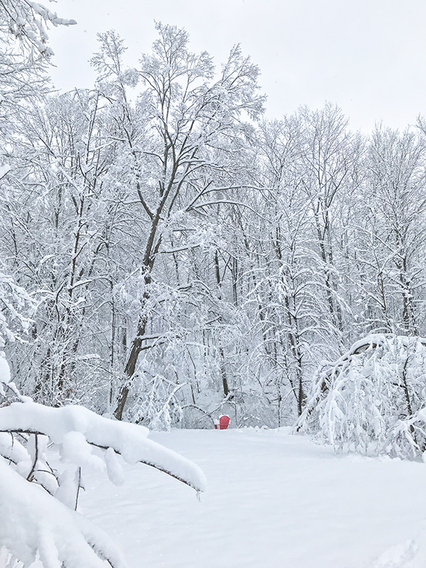 March 2 snowstorm-1