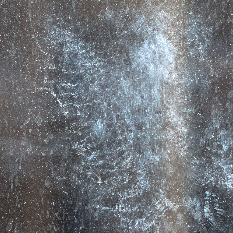 Birdimpressiondetail