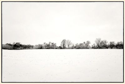 Snowelarte