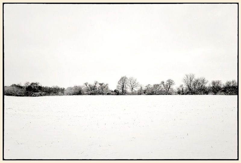 Snowelarte