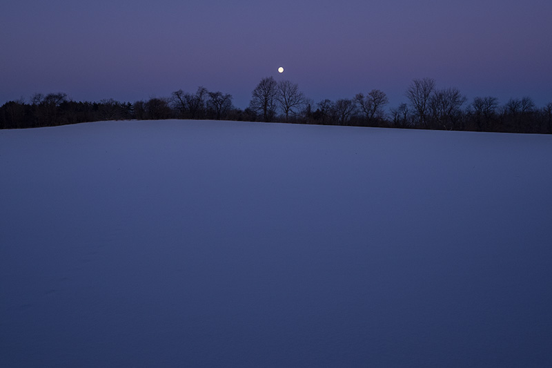 Moonfield-color