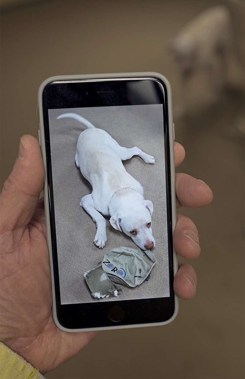 Newiphone