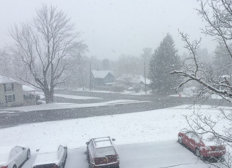 Easterinnewyork