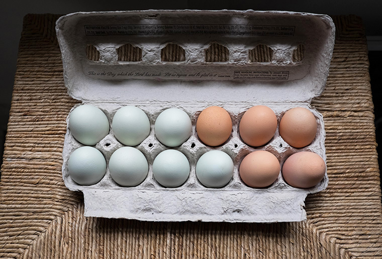 Blueeggs