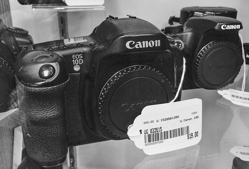 Shelflife copy