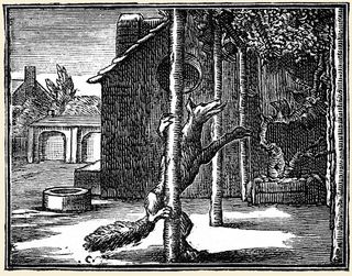 Fox-and-grapes