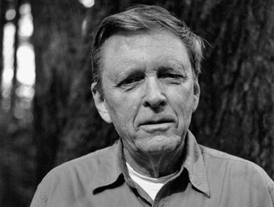 Robert Adams